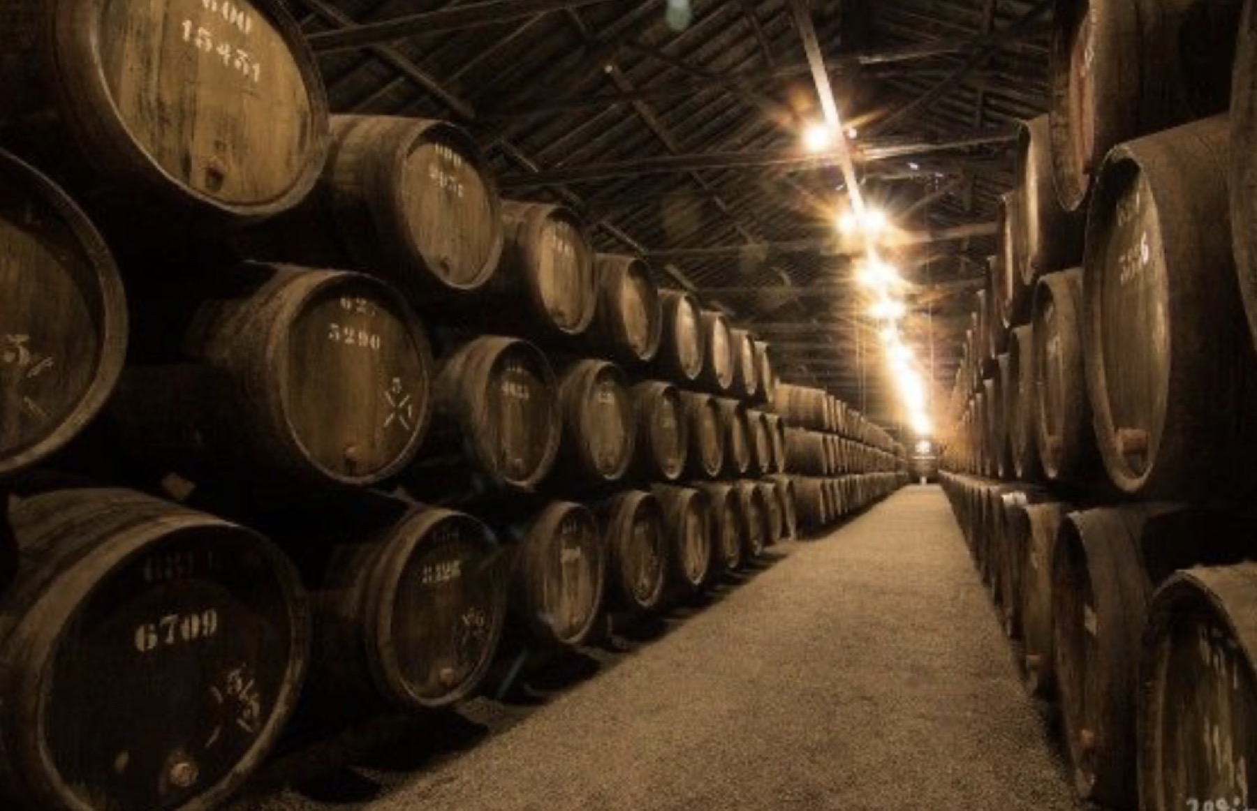 Barricas almacenadas en maduración dentro de una bodega