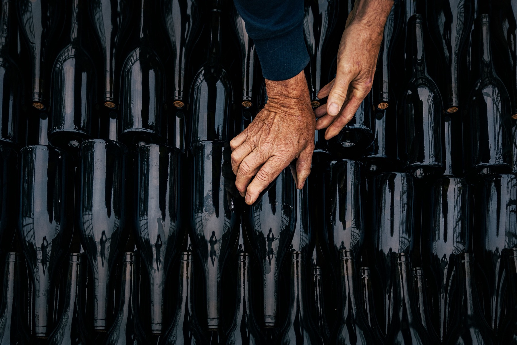 Botellas de vino manipuladas por un bodeguero
